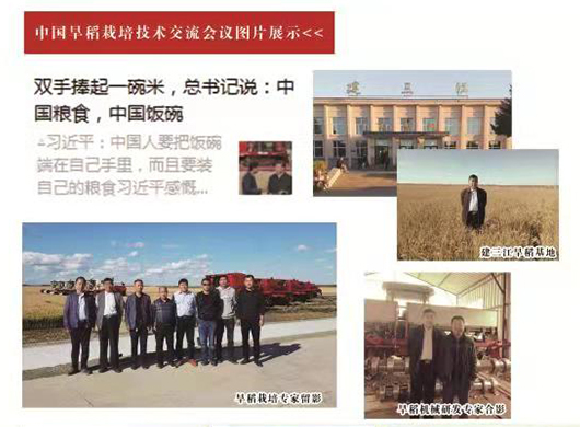 中国旱稻栽培种植专家、农民状元、学者技术交流会在建三江召开